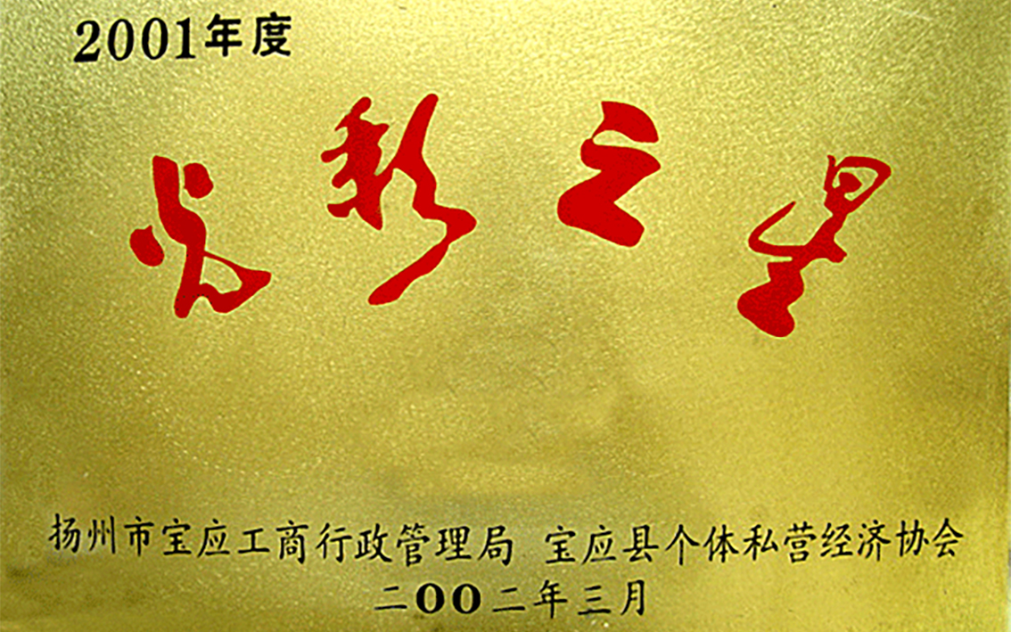 2002年3月扬州市礼好一然绣研究院原宝应县华艺苑刺绣研究所被宝应工商行政管理局，宝应个体私营经济协会评为光彩之星。.jpg
