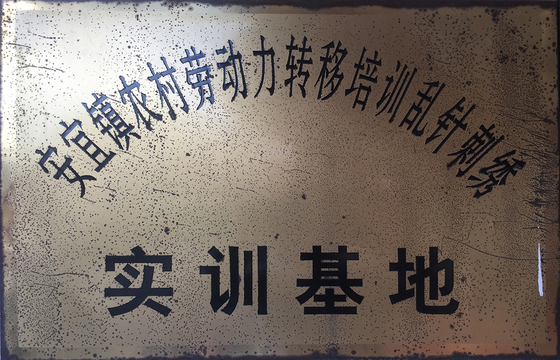 2003年3月扬州市礼好一然绣研究院原宝应县华艺苑刺绣研究所被宝应县安宜镇劳动所定点为安宜镇农村劳动力转移培训乱针绣实训基地，.jpg