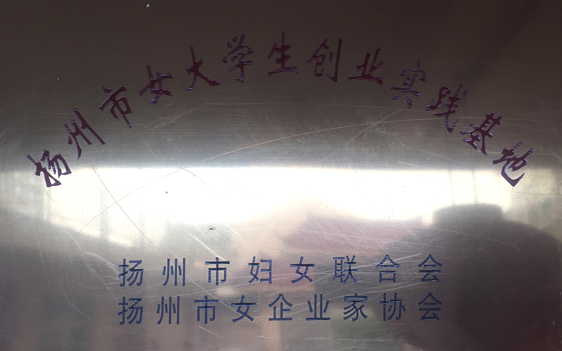 2008年扬州市礼好一然绣研究院原宝应县华艺苑刺绣研究所被扬州市妇女联合会，扬州市女企业家协会定点为扬州市女大学生创业实践基地。.jpg